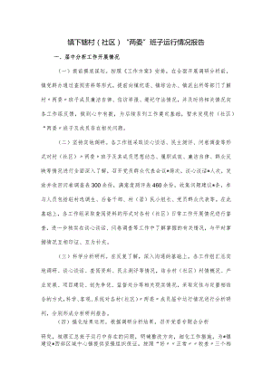 镇下辖村（社区）“两委”班子运行情况报告.docx