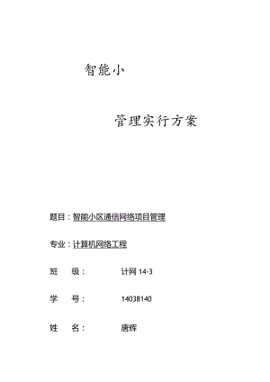 网络项目管理策略.docx