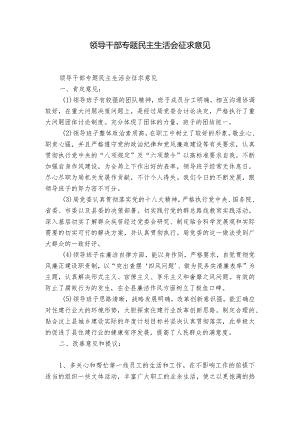 领导干部专题民主生活会征求意见.docx