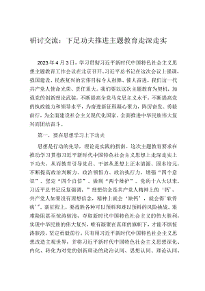 研讨交流：下足功夫 推进主题教育走深走实.docx