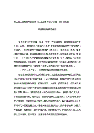 第二批主题教育专题党课：以主题教育凝心铸魂、锤炼党性+更好发挥先锋模范作用.docx