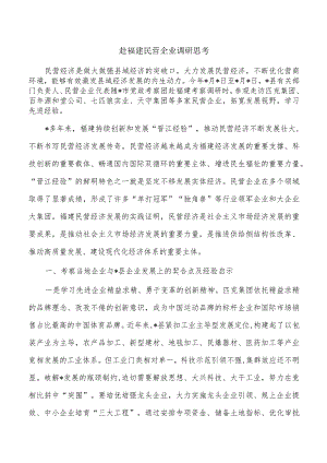 赴福建民营企业调研思考.docx