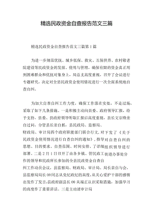精选民政资金自查报告范文三篇.docx