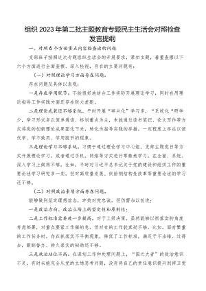 组织2023年第二批集中教育专题民主生活会对照检查发言提纲.docx