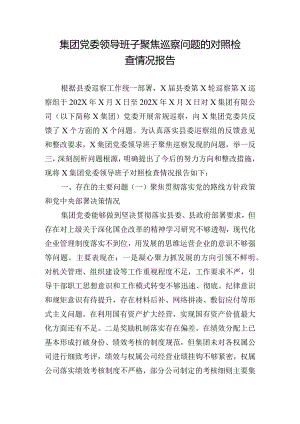 集团党委领导班子聚焦巡察问题的对照检查情况报告.docx