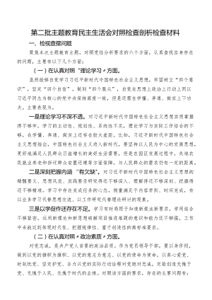 第二批专题教育民主生活会对照检查剖析检查材料.docx