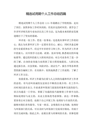 精选试用期个人工作总结四篇.docx