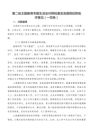 第二批集中教育专题生活会对照检查发言提纲后附批评意见（一百条）.docx