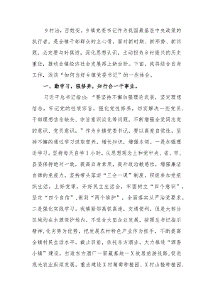讲稿：如何当好乡镇党委书记——驾驭全局谋发展统筹协调绘蓝图.docx