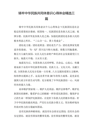 铸牢中华民族共同体意识心得体会精选三篇.docx