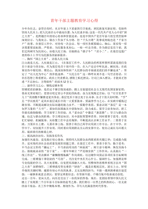青年干部主题教育学习心得.docx