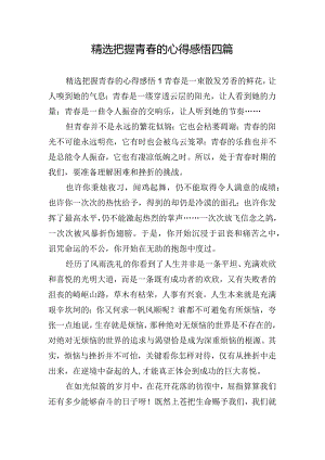 精选把握青春的心得感悟四篇.docx