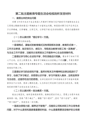 第二批专题教育专题生活会检视剖析发言材料.docx