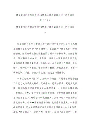 镇党委书记在学习贯彻2023年主题教育读书班上的研讨发言(二篇).docx