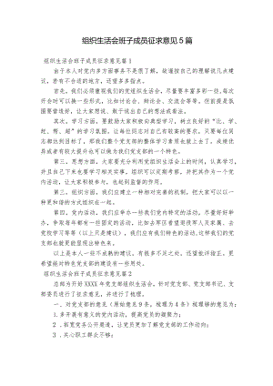 组织生活会班子成员征求意见5篇.docx