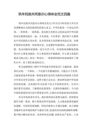 筑牢民族共同意识心得体会范文四篇.docx