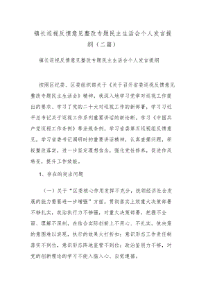 镇长巡视反馈意见整改专题民主生活会个人发言提纲(二篇).docx