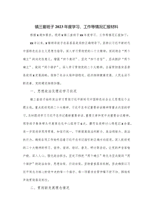 镇三套班子2023年度学习、工作等情况汇报材料.docx