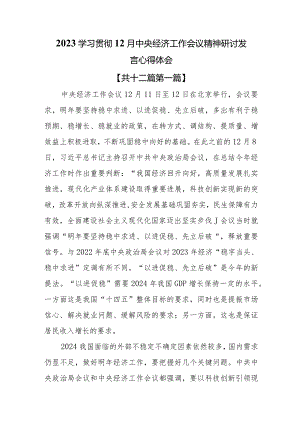 （12篇）2023学习贯彻12月中央经济工作会议精神研讨发言心得体会.docx