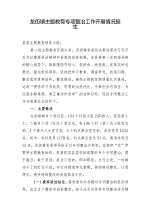 龙街镇主题教育专项整治工作开展情况报告.docx