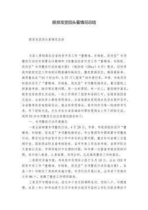 脱贫攻坚回头看情况总结.docx