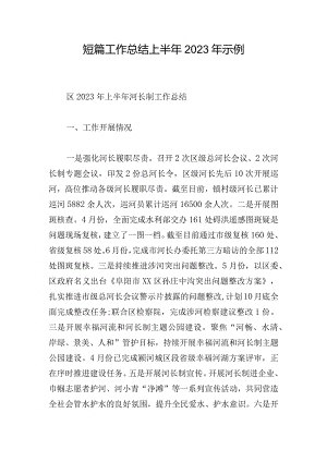 短篇工作总结上半年2023年示例.docx
