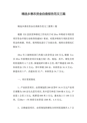 精选乡惠农资金自查报告范文三篇.docx