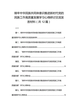 铸牢中华民族共同体意识推进新时代党的民族工作高质量发展学习心得研讨交流发言材料（共12篇）.docx