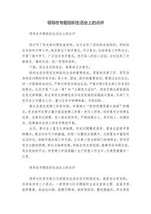 领导在专题组织生活会上的点评.docx