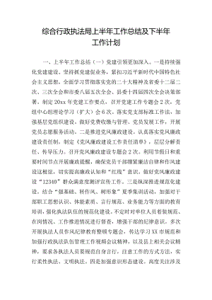 综合行政执法局上半年工作总结及下半年工作计划.docx