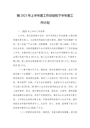 镇2023年上半年度工作总结和下半年度工作计划.docx