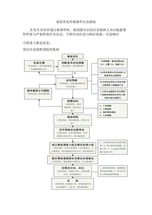 突发环境事件应急演练.docx