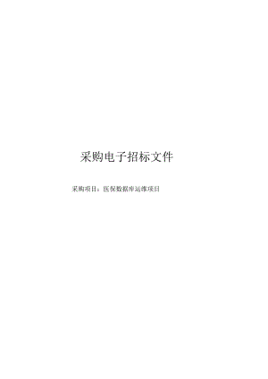 医保数据库运维项目招标文件.docx