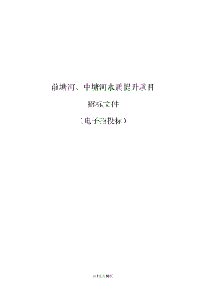 前塘河、中塘河水质提升项目招标文件.docx