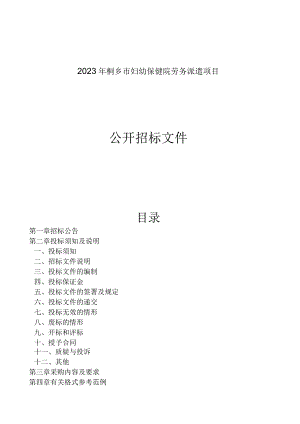 2023年妇幼保健院劳务派遣项目招标文件.docx