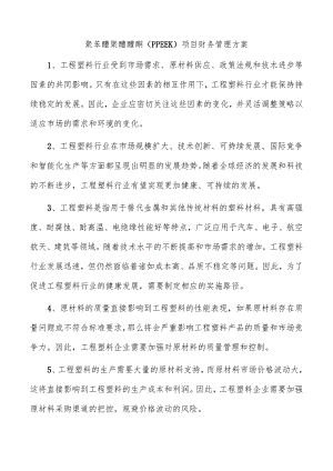 聚苯醚聚醚醚酮（PPEEK）项目财务管理方案.docx