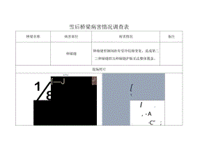 雪后桥梁病害情况调查表.docx