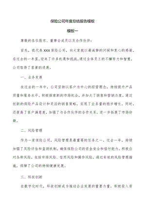 保险公司年度总结报告模板.docx