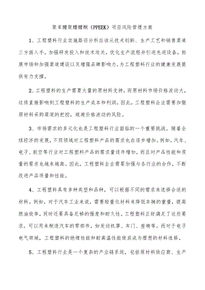 聚苯醚聚醚醚酮（PPEEK）项目风险管理方案.docx