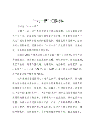 20XX年一村一品汇报材料.docx