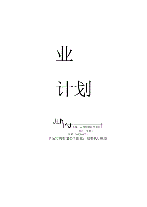 某公司创业计划书执行概要.docx