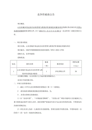 山东省城乡客运综合业务管理与绩效评价系统技术服务项目竞争性磋商.docx