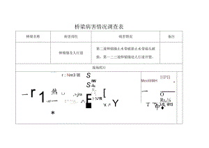 桥梁病害情况调查表.docx