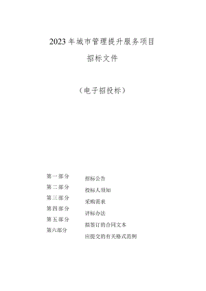城市管理提升服务项目招标文件.docx