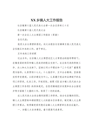 20XX年乡镇人大工作报告.docx