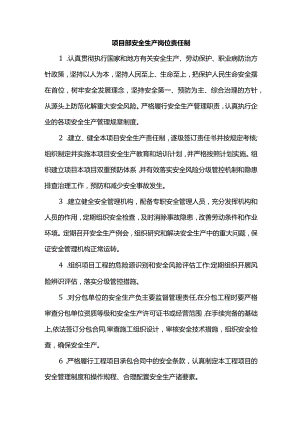 项目部安全生产岗位责任制.docx