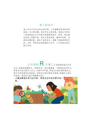 4～6年级的自然小报模板.docx