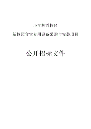 小学栖霞校区新校园食堂专用设备采购与安装项目招标文件.docx