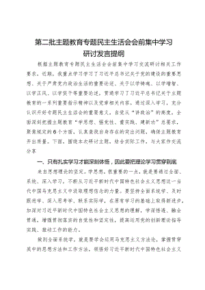 第二批主题教育专题民主生活会会前集中学习研讨发言提纲.docx