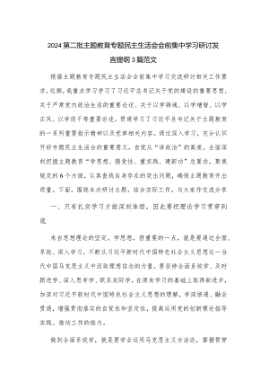 2024第二批主题教育专题民主生活会会前集中学习研讨发言提纲3篇范文.docx